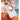 TORRAS 360 Magnetic Stand for iPhone 17 Pro Case, [Rotatable Sturdy Kickstand][Fit for MagSafe][4X Mil-Grade Shockproof] Slim Transparent Phone Cover, Camera Button, Clear Orange, Ostand O3 Fitness_1035