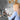 Video Conference Lighting, Foxin Zoom Lighting for Computer, Webcam Light, Zoom Light with Clip Stand 3 Modes for Video Conferencing/Remote Working/Zoom Calls/Self Broadcasting/Live Streaming_Unknown_1770