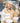 Xmenha Translation Earbuds Real Time, 144 Languages Translation Device Ai Translator Earbuds Translating Headphones Real Time Ai Headphones Language Translation_Nude_268