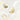 Xmenha Translation Earbuds Real Time, 144 Languages Translation Device Ai Translator Earbuds Translating Headphones Real Time Ai Headphones Language Translation_Nude_271